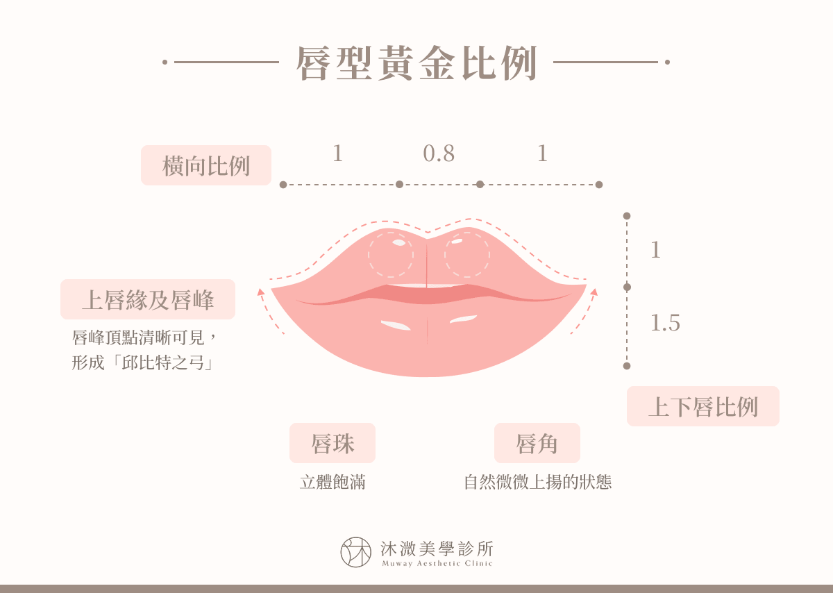 微笑唇如何打造?不同療程費用、效果差異、案例參考總指南 - 沐溦美學診所