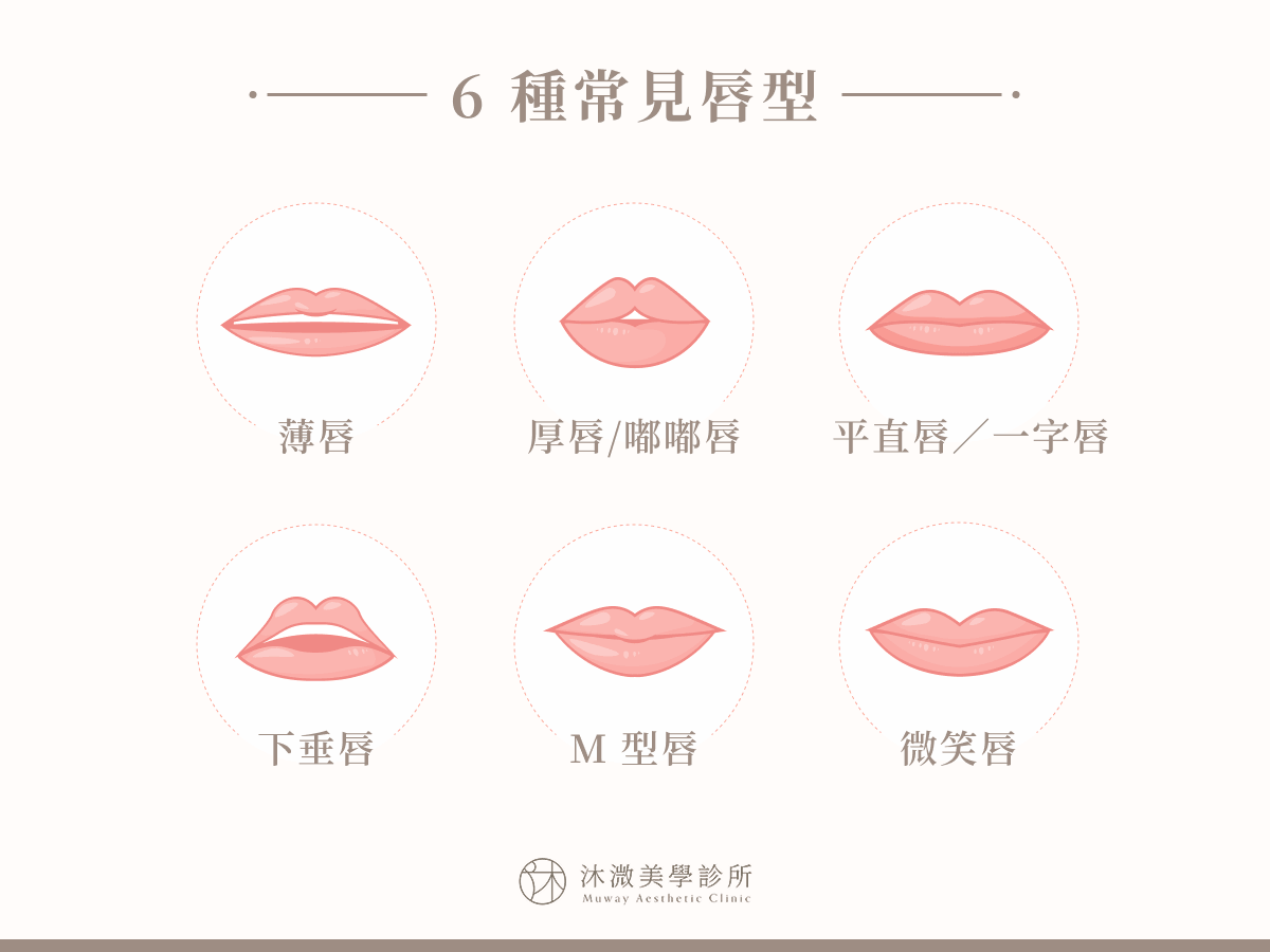 6 種常見唇型