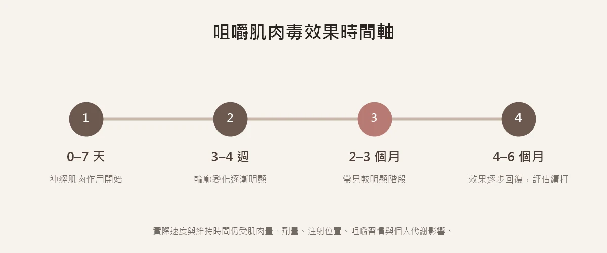 咀嚼肌肉毒從作用開始、輪廓明顯到四至六個月評估續打的時間軸